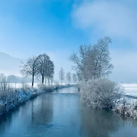 Nidamour Val-De-Travers *