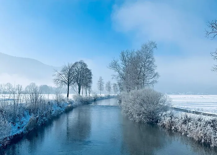 Nidamour Val-De-Travers *